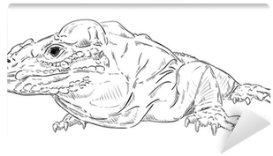 Komodo Dragon (400x400), Png Download