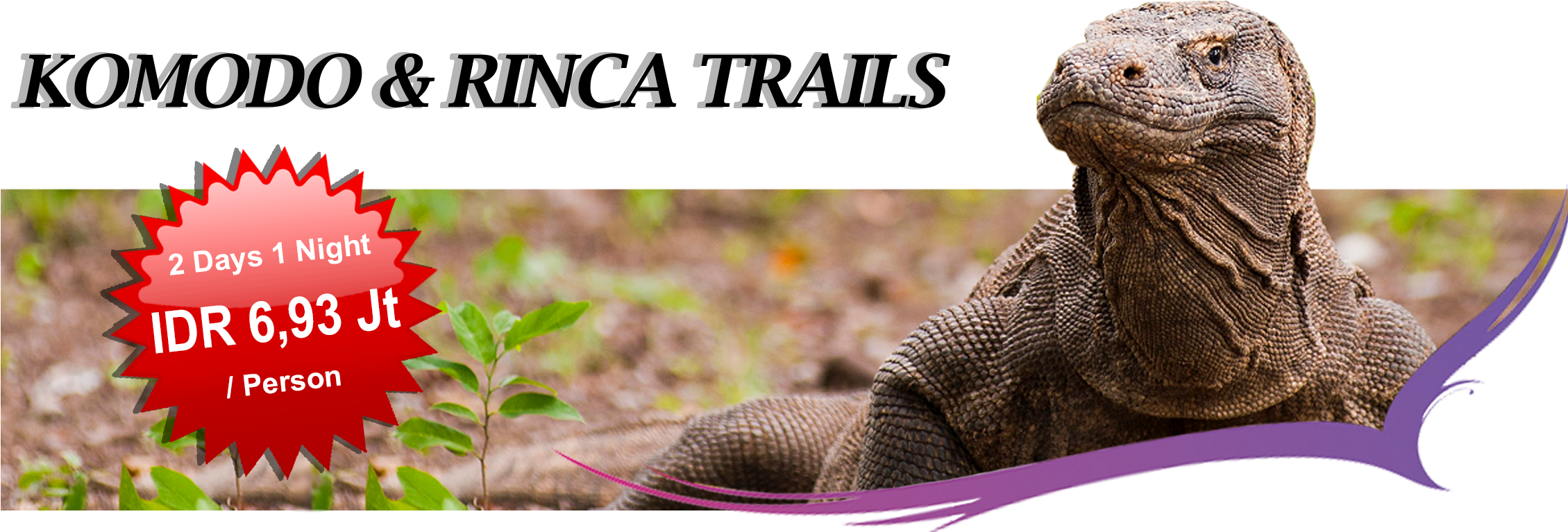 Komodo Paket (2258x805), Png Download