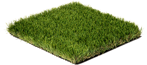 Introduction Grass Image - Vigor (615x272), Png Download
