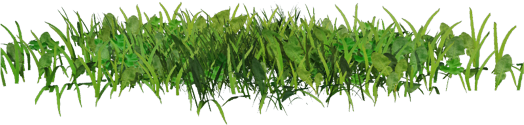 60 Images About ✦ Png & Overlays ✦ On We Heart It - Grass Overlays (1024x768), Png Download
