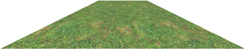 Grass Terrain Png By ~paradise234 On Deviantart - Portable Network Graphics (900x720), Png Download