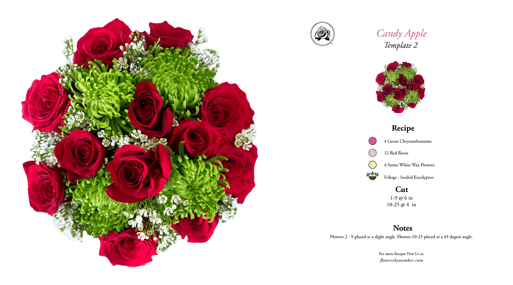 Red Candy Apple - Floribunda (1800x1000), Png Download