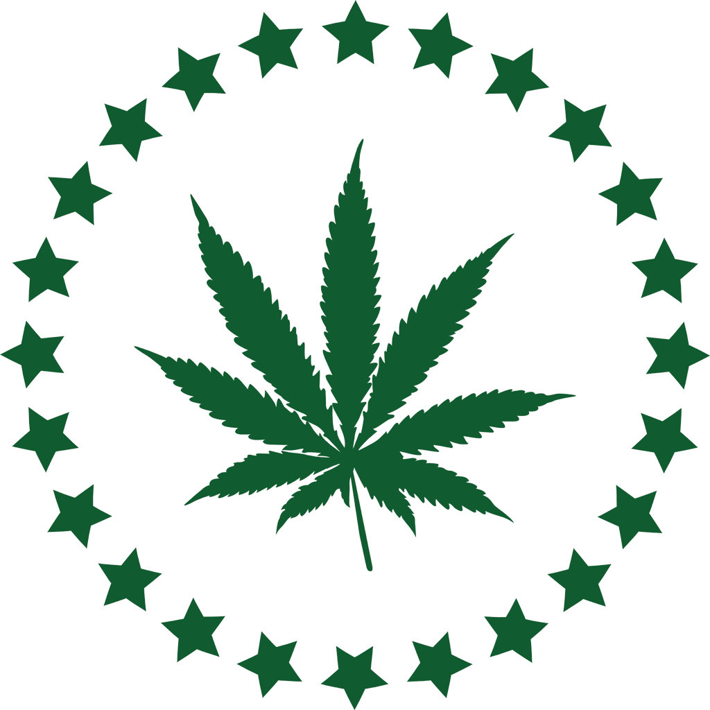 Potcoin Is Spiking After Dennis Rodman Promoted The - Marijuana Leaf (1024x1024), Png Download