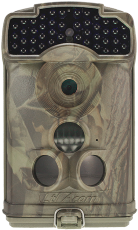 Ltl Acorn Ltl 6310mc940 12m Hd Video No Glow Trail - Ltl Acorn 12m No-glow Black Flash Hd Video Trail Scouting (480x480), Png Download