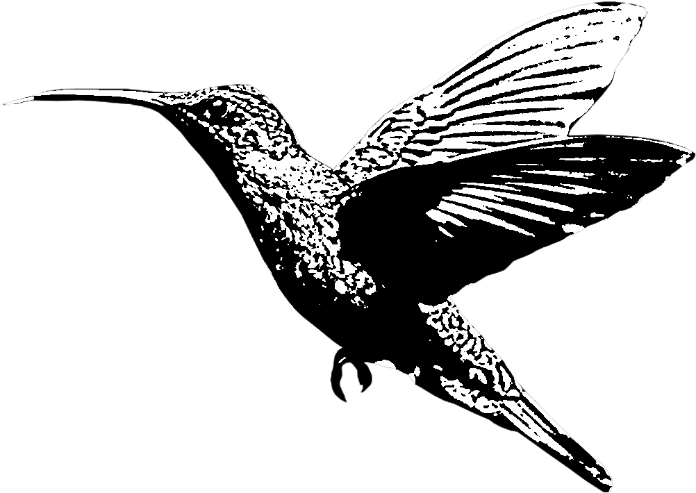 Schlitz Banjo Cray Readymade Mumblecore Church-key - Iqos Hummingbird (1200x1070), Png Download