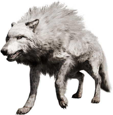 You Can Tame It - Far Cry Primal Lobo (472x480), Png Download