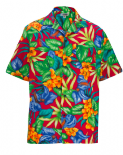 Big And Tall Real Hawaiian Shirts In Blue, Red, Tan, - Native Hawaiians (500x500), Png Download