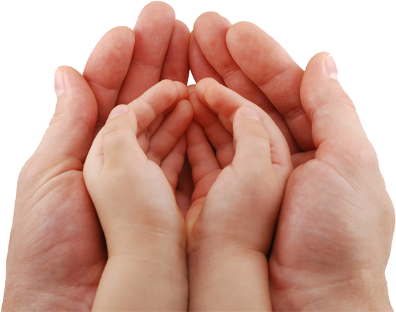 Newbabies - Child And Adult Hands (800x500), Png Download