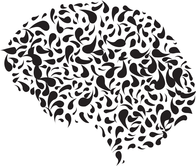 Brain Clipart (772x652), Png Download