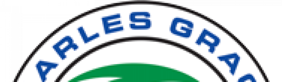Bruddas Brazilian Jiu Jitsu (1200x350), Png Download