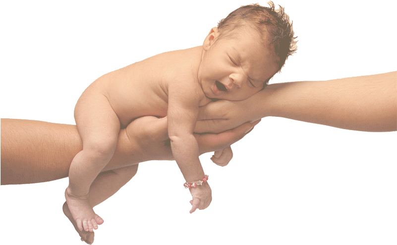 Baby Friendly Online Education - Her Two Dads (800x504), Png Download
