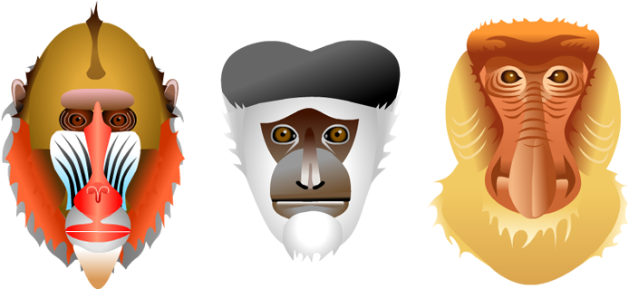 Monkeyface5 - Illustration (730x350), Png Download