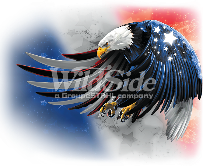 Usa Eagle - Usa Eagle Flying Red White & Blue United States (675x675), Png Download