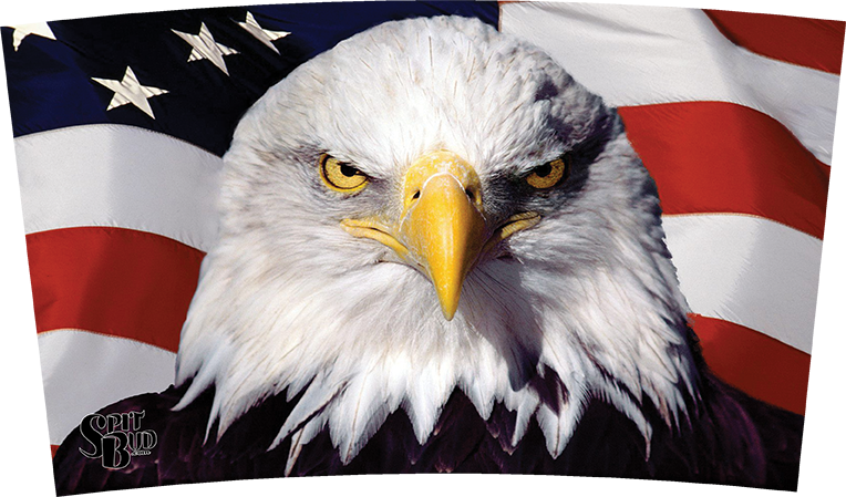Usa Eagle Spit Bud Usa Eagle Spit Bud - American Eagle (764x449), Png Download