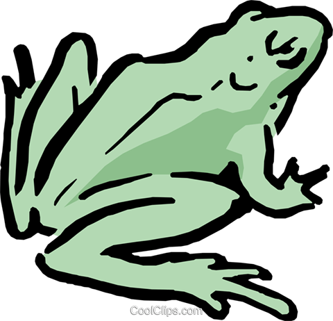 Cartoon Frog Royalty Free Vector Clip Art Illustration - Illustration (480x462), Png Download