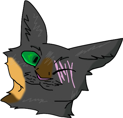 Slippers - Cat Yawns (688x443), Png Download