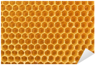 Honeycomb Background Png Download - Dried Honeycomb Background (400x400), Png Download