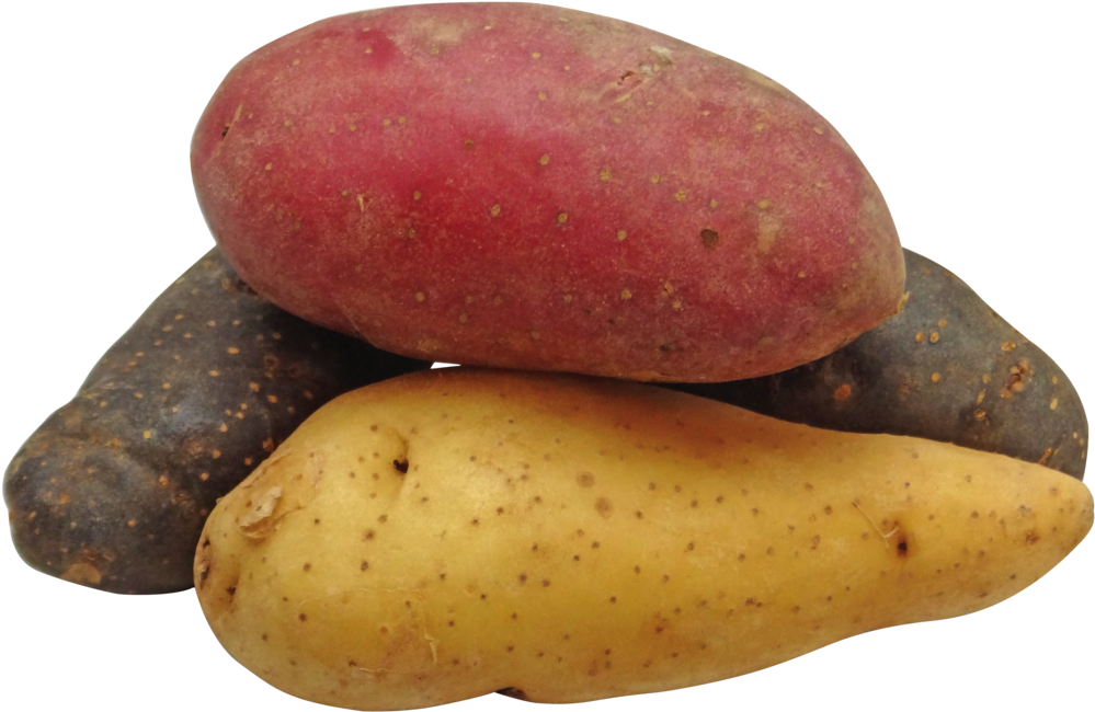 The Foams For The Study Were Made From Potato Starch, - Potatoes Png (1024x738), Png Download