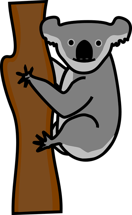 Koala Bear Clipart Cute Anime - Koala Clipart Png (442x720), Png Download