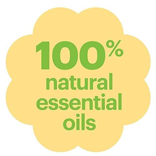 Auction - Babyganics Mineral-based Spf 50+ Sunscreen, 2 Ounce (1000x1000), Png Download