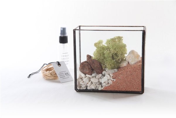 Urban Green Makers Glass Terrarium (600x600), Png Download