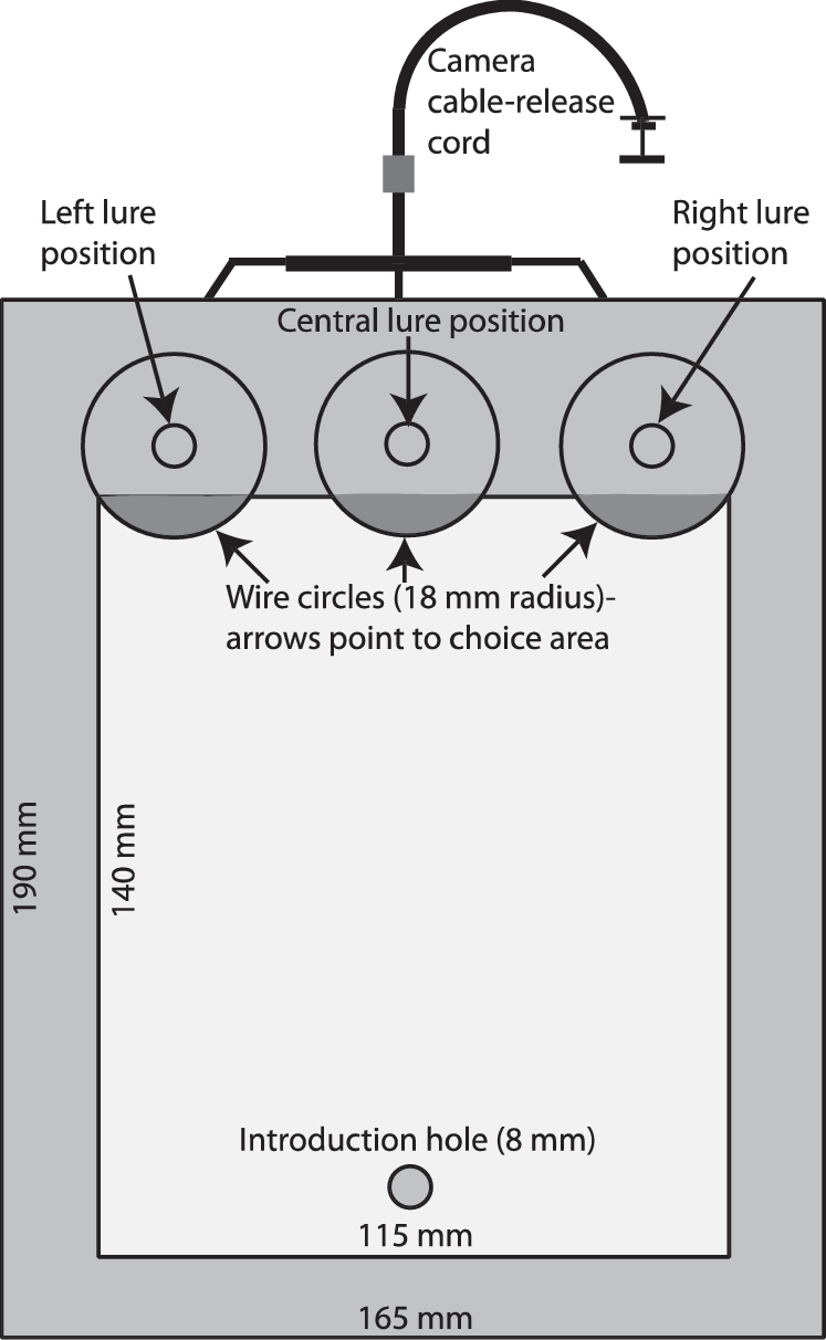 Rectangular Glass Box With Glass Lid, Sitting On Top - Diagram (747x1212), Png Download