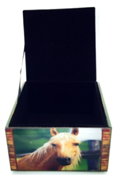 Glass Box - Horse 10x10x6cm - Grizzly Bear (350x350), Png Download