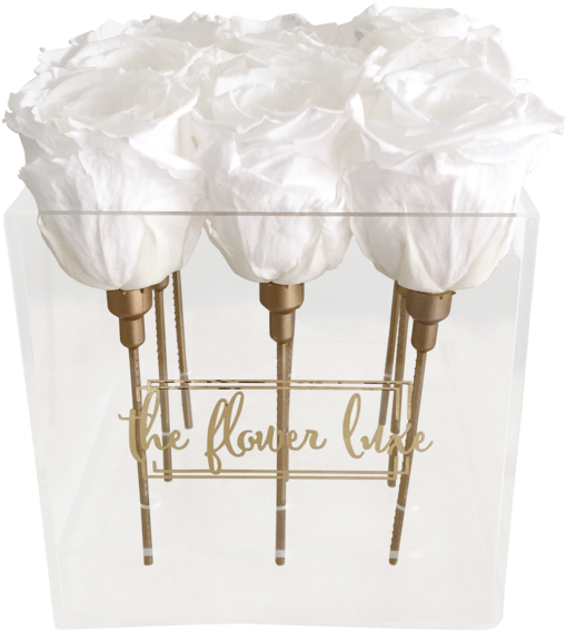 Glass Box - The Flower Luxe (720x720), Png Download