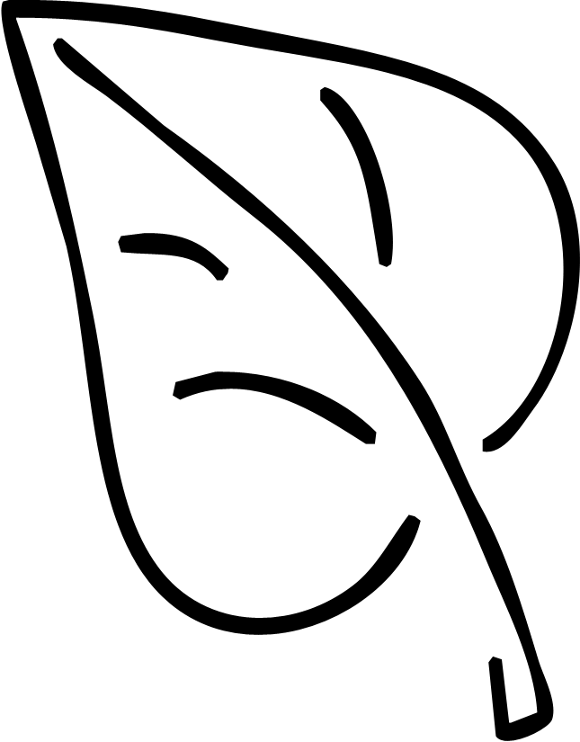 Leaf - Line Art (645x825), Png Download