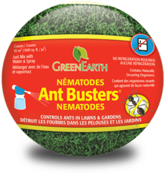 Green Earth Ant Busters Nematodes - Nema-globe 310 Grub Busters Natural Grub Eliminator (375x400), Png Download