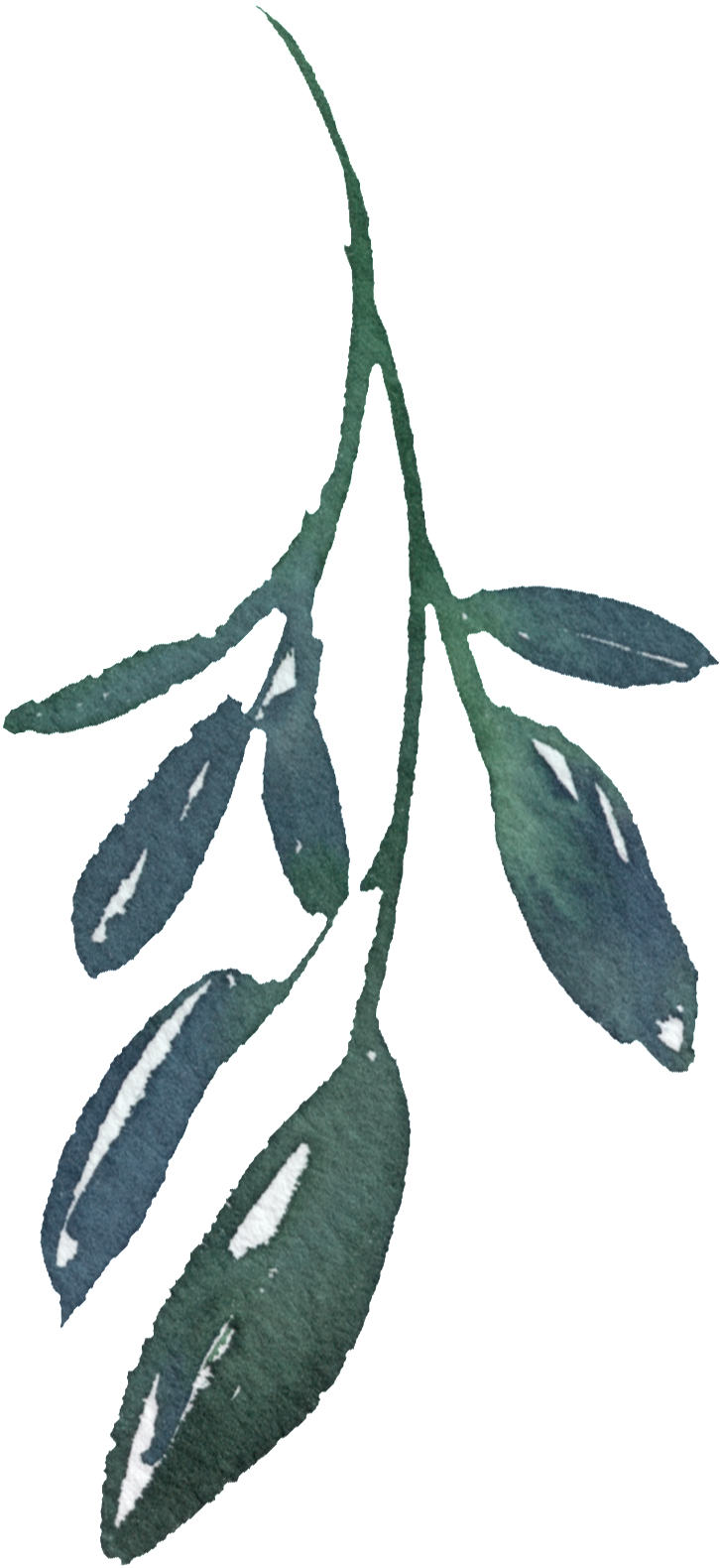 Hand Painted A Bamboo Leaf Png Transparent - Portable Network Graphics (1024x1747), Png Download