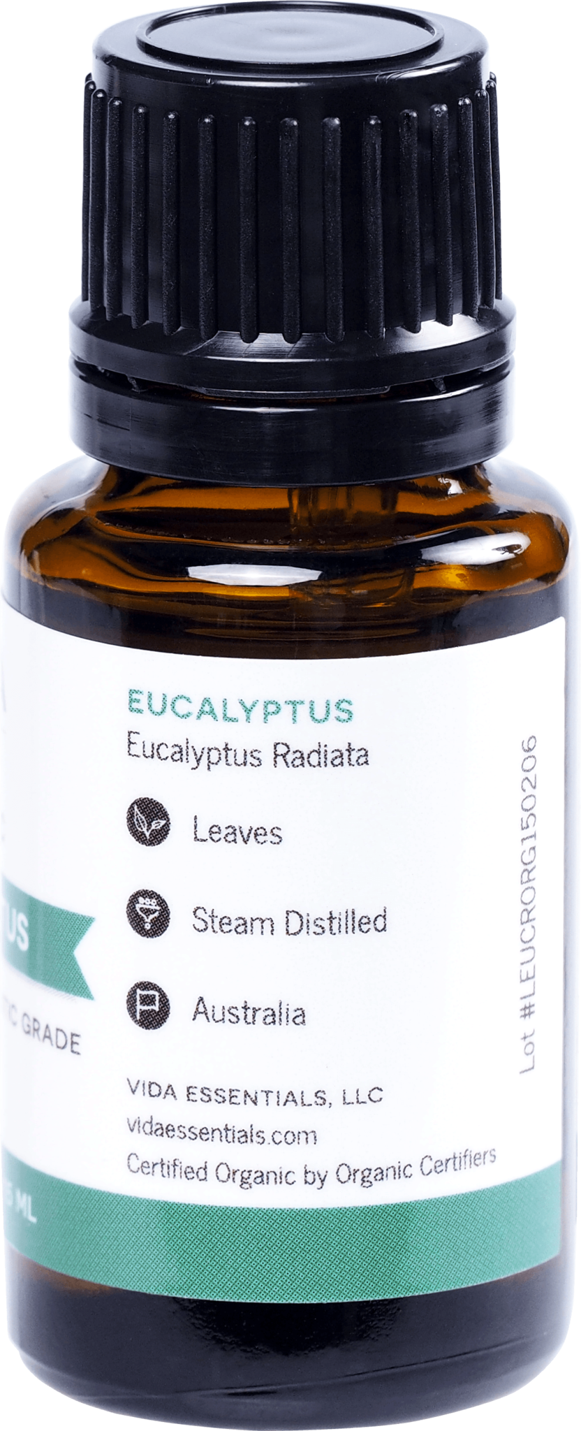 Eucalyptus - Essential Oil (832x2048), Png Download
