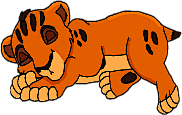 Scar Images Baby Taka Hd Wallpaper And Background Photos - Tiger (1026x818), Png Download