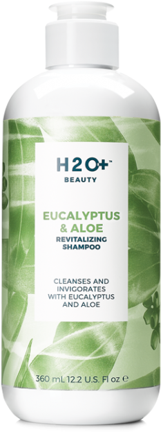 H2o+ Beauty Eucalyptus & Aloe Body Wash 12.2 Oz (600x656), Png Download