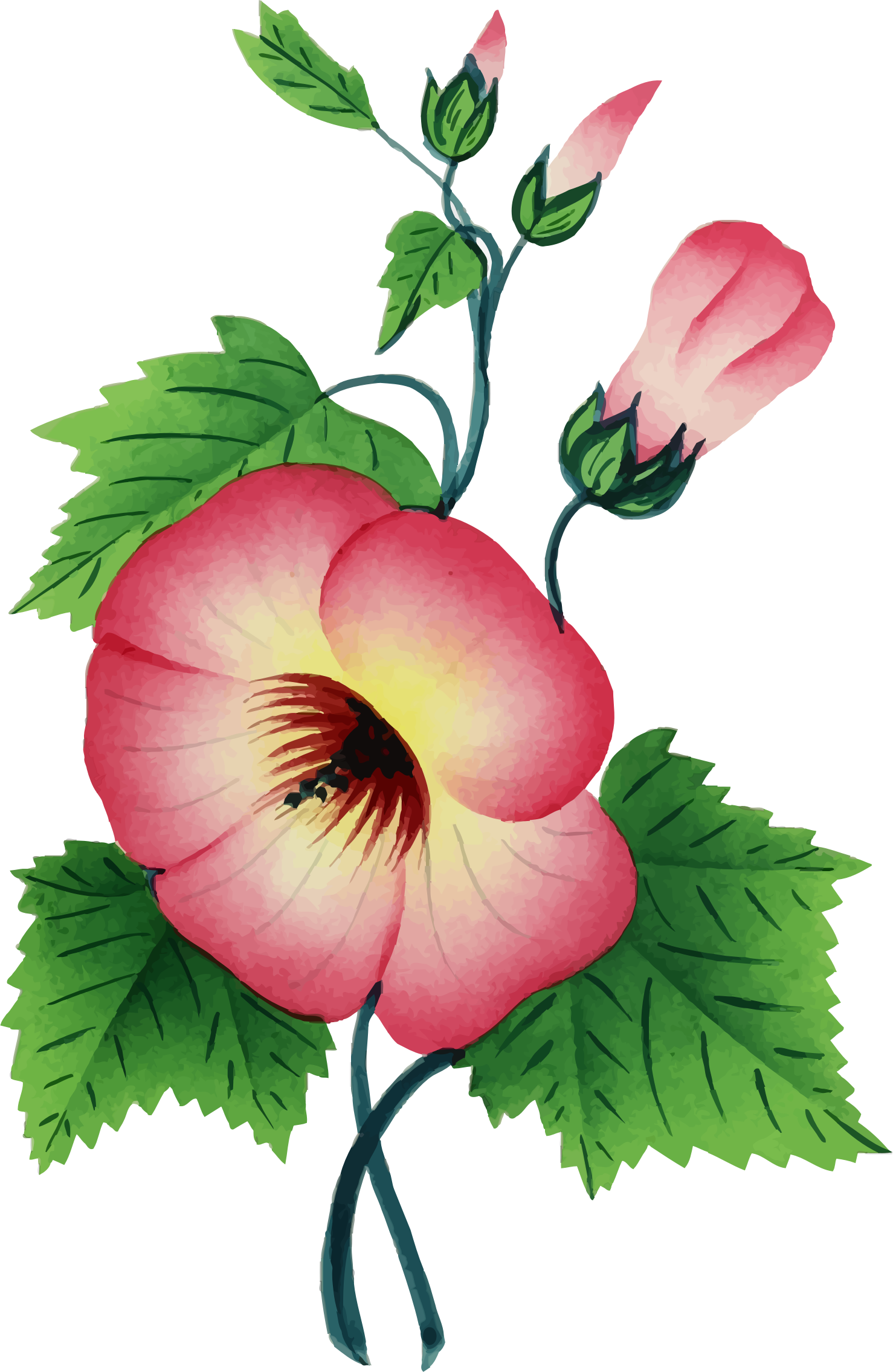 This Free Icons Png Design Of Flower Illustration 3 (1478x2271), Png Download