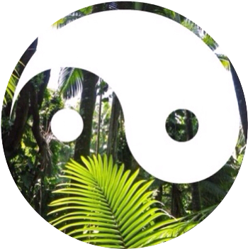 Tropical Tumblr Overlays (500x500), Png Download