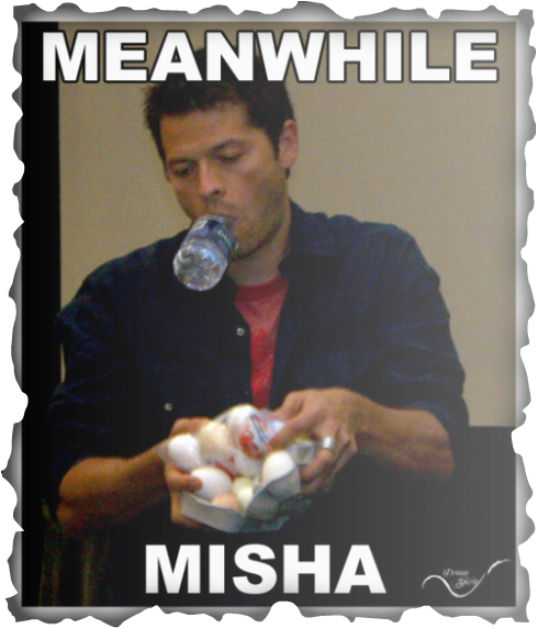 Misha Collins - Meanwhile Misha (490x573), Png Download