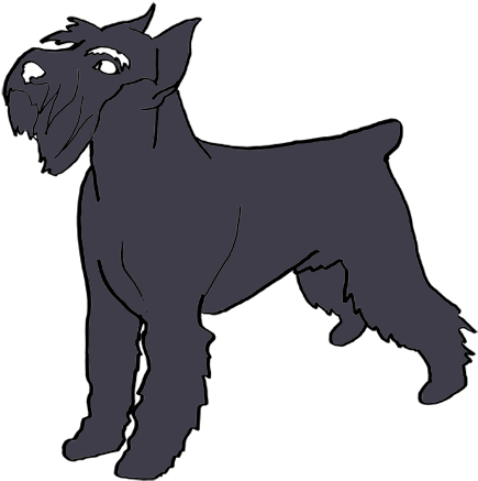 After That - Miniature Schnauzer (500x451), Png Download