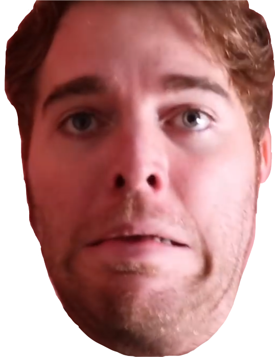 Report Abuse - Shane Dawson No Background (538x699), Png Download