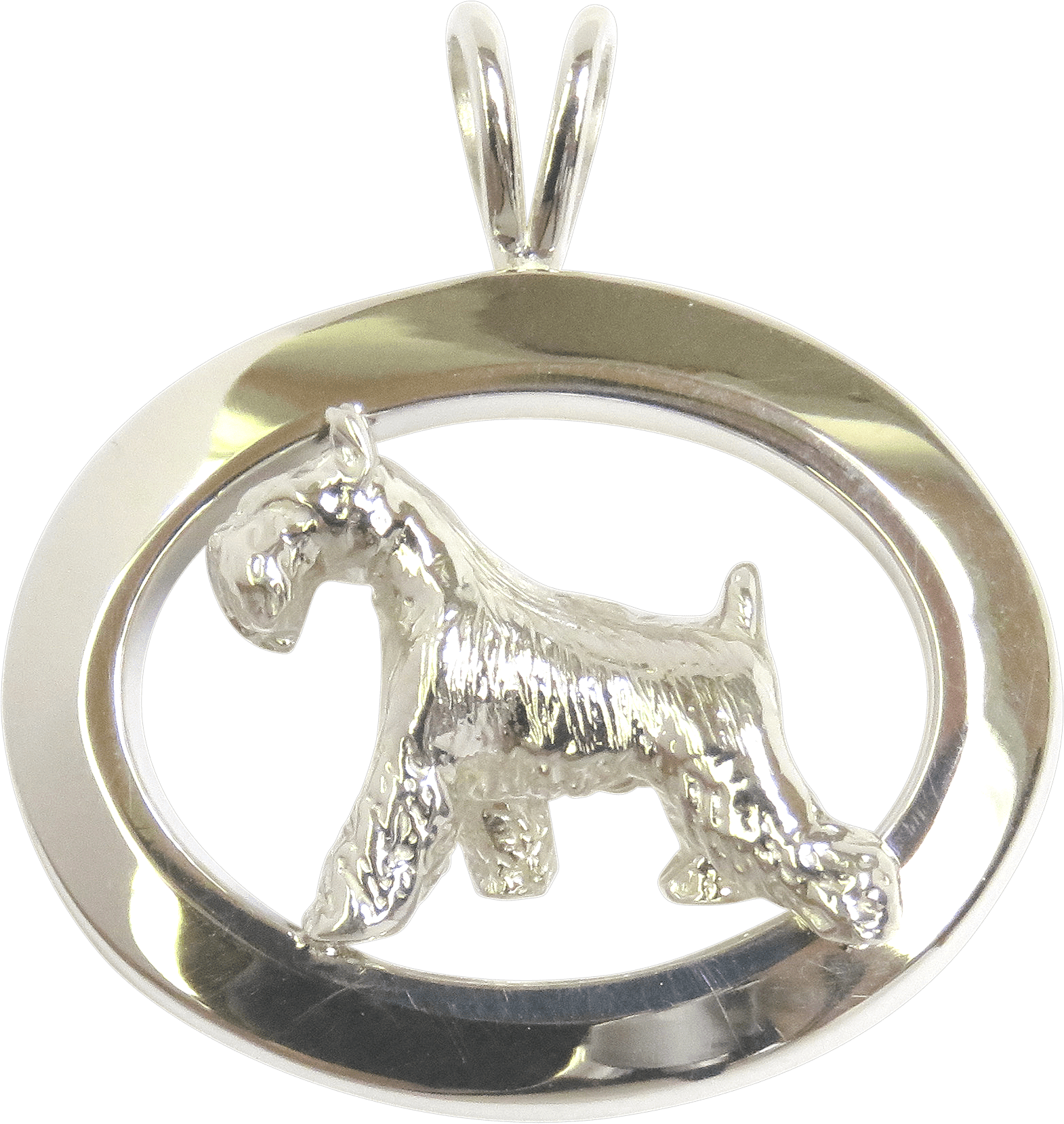 Miniature Schnauzer Oval Jewelry - Charms & Pendants (1978x1954), Png Download