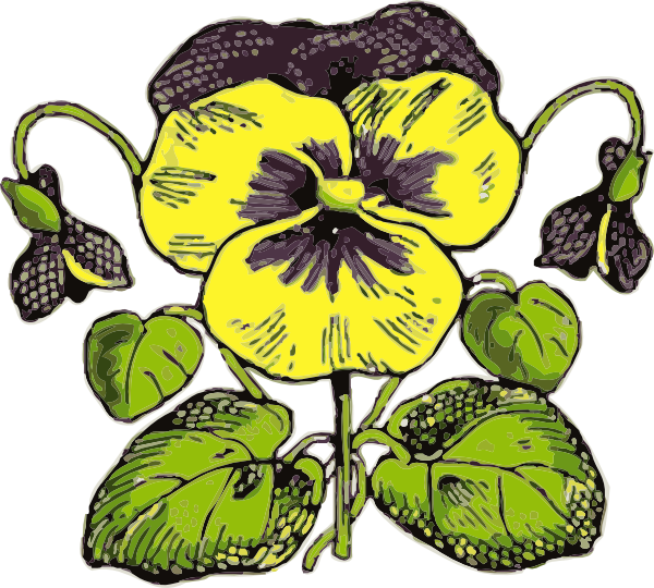 How To Set Use Pansy Svg Vector - Flowers Clip Art (600x540), Png Download