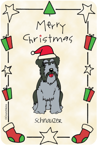 More Views - Standard Schnauzer (500x500), Png Download