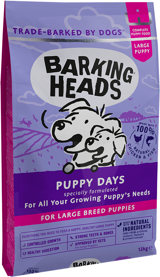 Puppy Days <br> - Barking Heads Puppy Days (1000x1000), Png Download