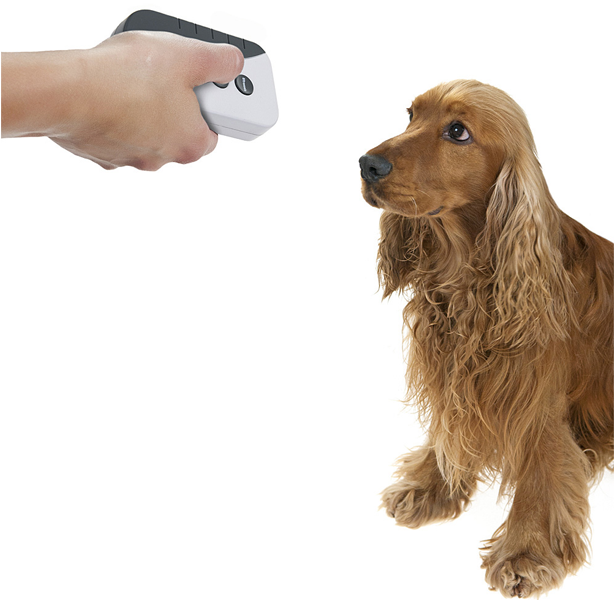 Barkstopper Ultrasonic & Audible Hand Held Bark (800x600), Png Download