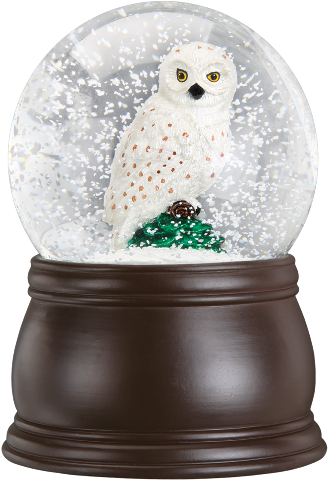 Great White Owl Snow Globe - Snow Globe (1024x1024), Png Download