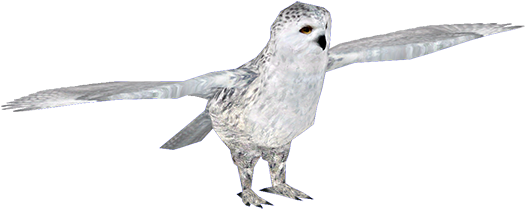 Snowyowl - Zt2 Download Library Owl (600x402), Png Download