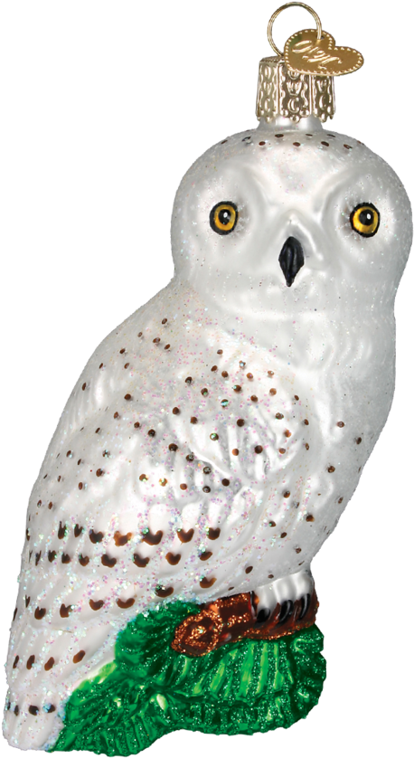 Owl Ornament (950x950), Png Download