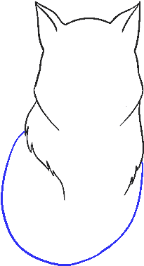 How To Draw Wolf (678x600), Png Download