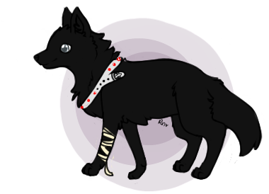 Black Wolf Pup Drawing By - Black Wolf Pup Drawing (600x400), Png Download