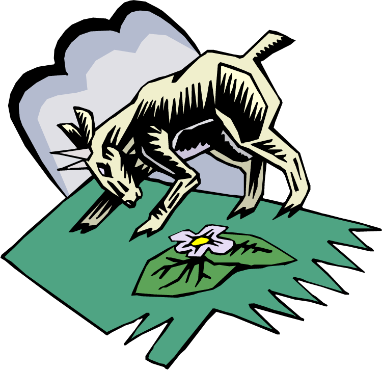 Boer Goat Clipart » Neoclipart - Clip Art (750x726), Png Download